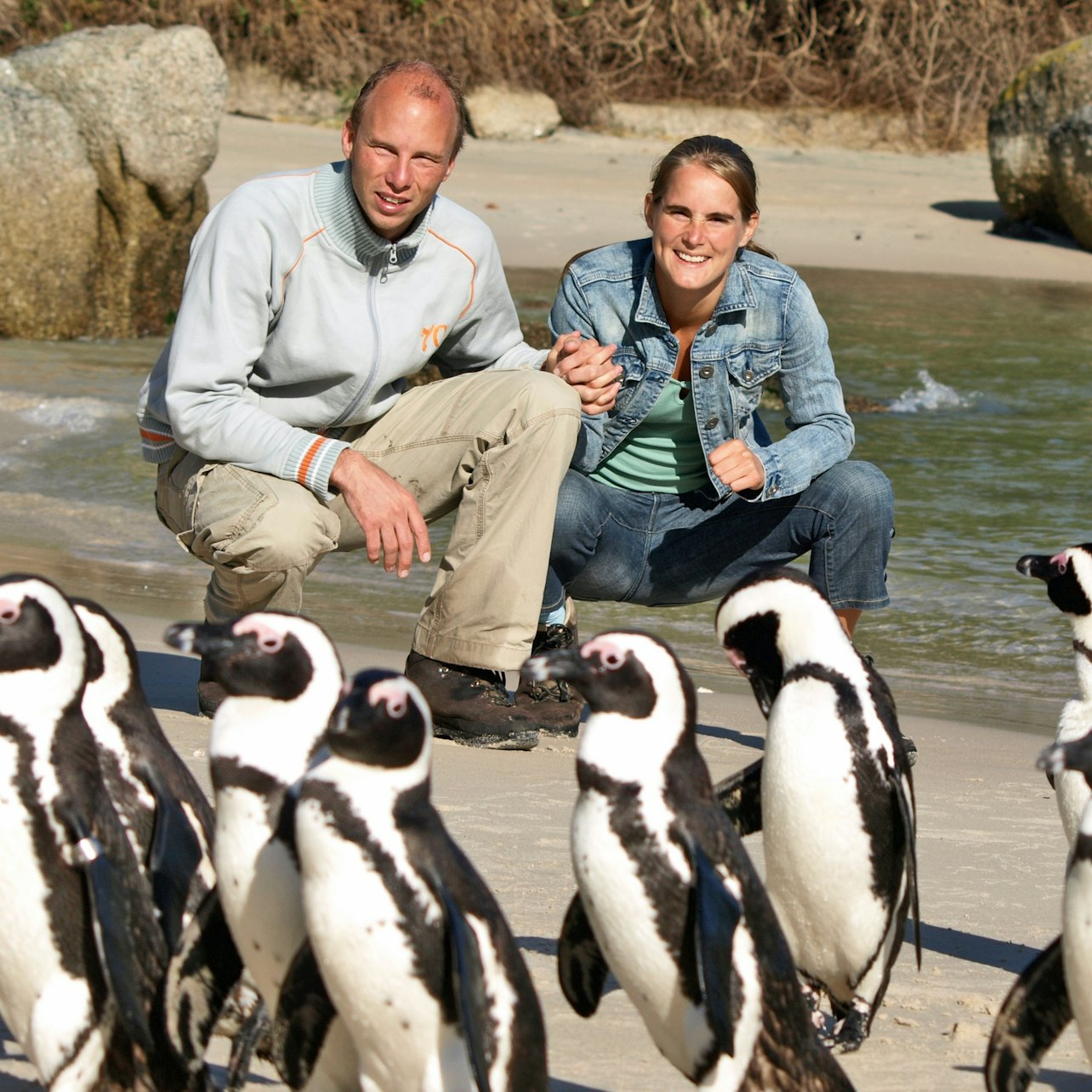 Boulders Beach & Cape Point: Half-Day Tour - Photo 1 of 5